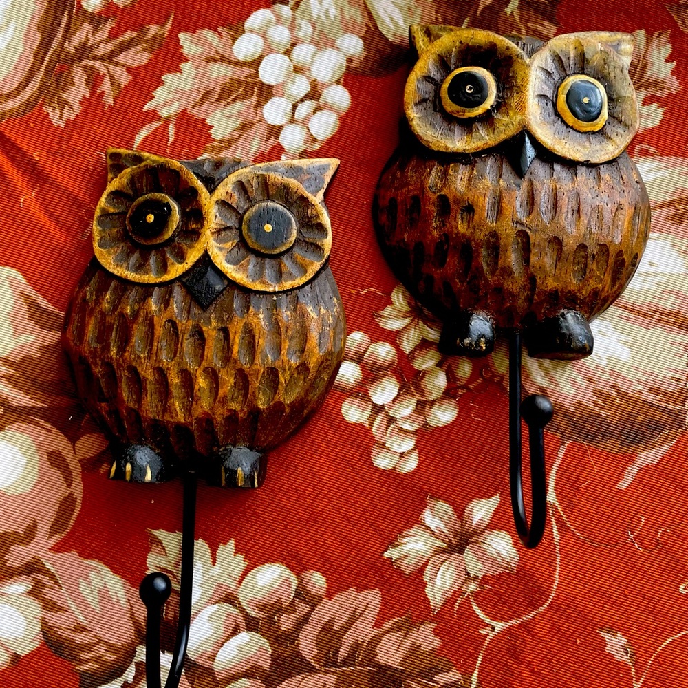 2 cute world market owl wooden hangers.
